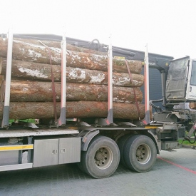 Logs for the Toplayers